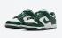 Nike SB Dunk Low GS Spartan Green White Running Shoes CW1590-102